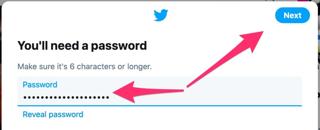 Twitter Sign Up - Password