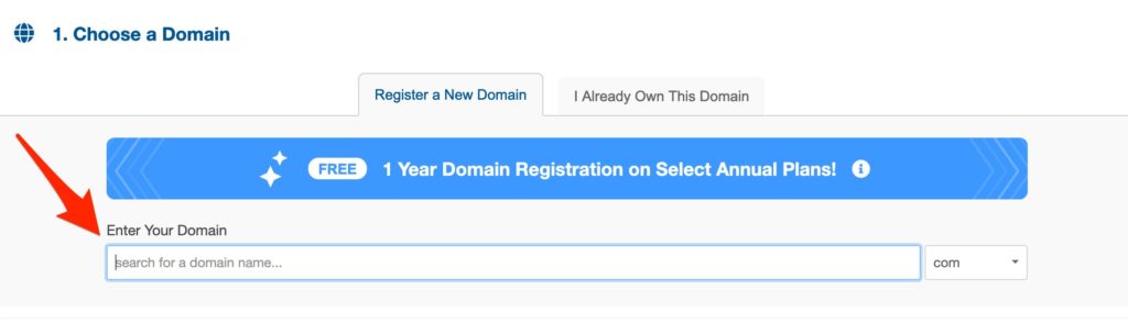 Enter Your Desired Domain Name