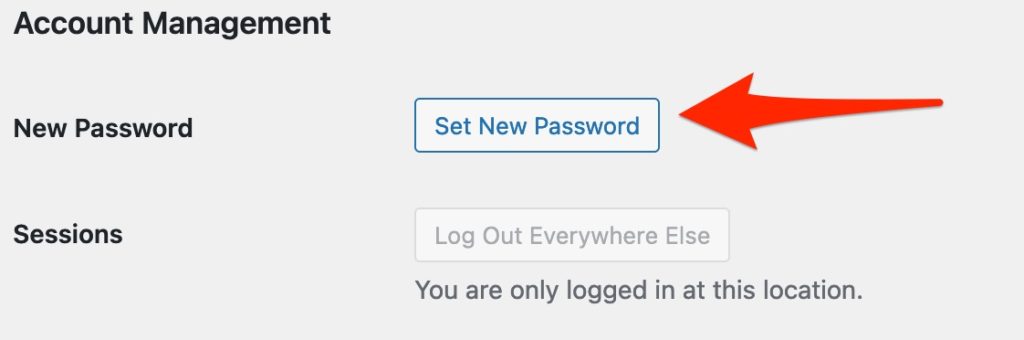 Set New Password Button